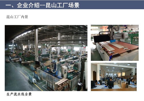 無(wú)漆環(huán)保室內(nèi)門實(shí)木復(fù)合門隔音吸磁折疊門移門制造商