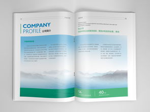 石家莊興燦環(huán)保科技平面書裝設計賞析——袁曉樂作品展示于站酷