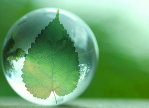 十三五環(huán)?？萍键c(diǎn)將專項(xiàng) 推動(dòng)行業(yè)實(shí)現(xiàn)全方位跨越